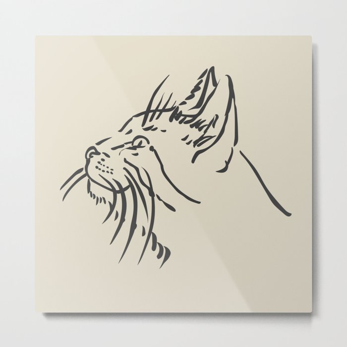 Wishful Whiskers Cat Metal Print