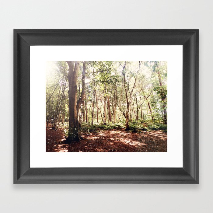 Forest Scape Framed Art Print