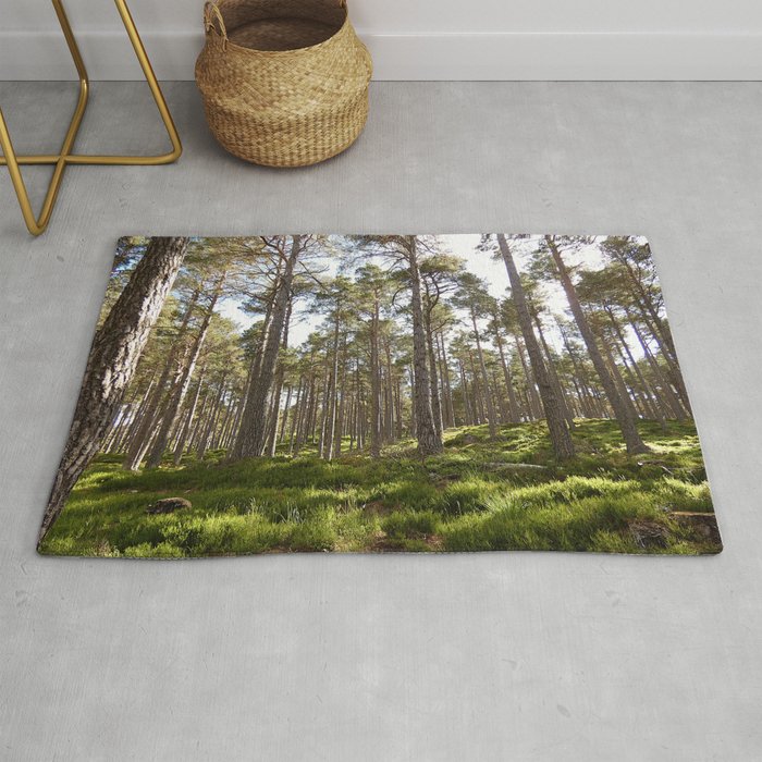 Early Summer Woodland in the Scottish Highlands Rug