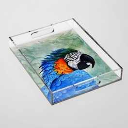 Classic Blue Macaw Acrylic Tray