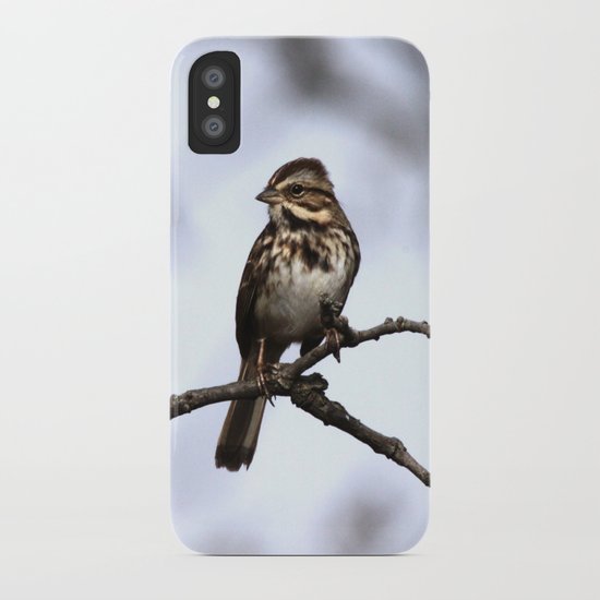 Song Sparrow iPhone Case
