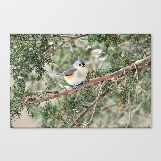 Tiny Titmouse Canvas Print