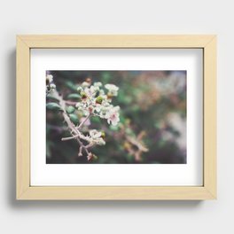 Rubus Recessed Framed Print
