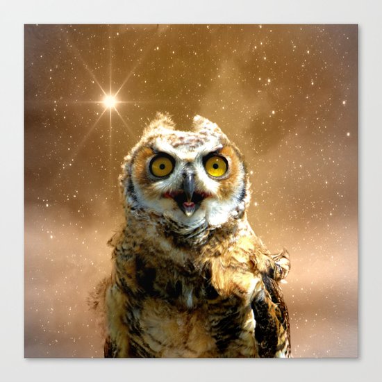 King of space Canvas Print