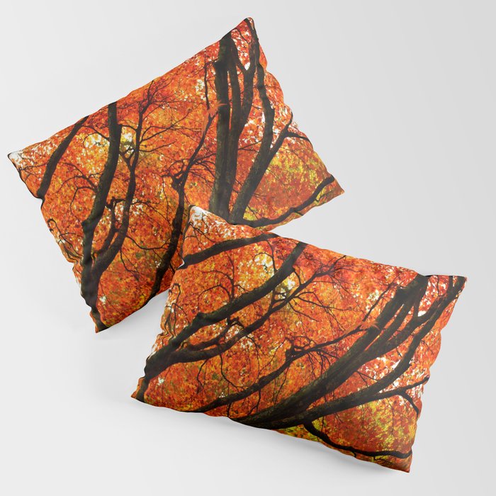Autumn Tree Pillow Sham