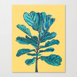 Fiddle Leaf Fig Canvas Print