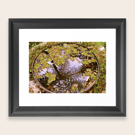 Reflection Framed Art Print