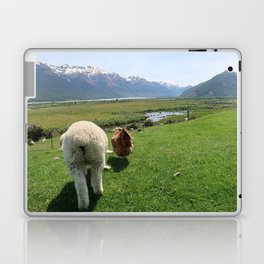 Buddies (Photograph of Lamb and Chicken) Laptop Skin