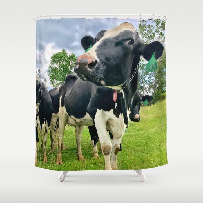 Cow 2089 Shower Curtain