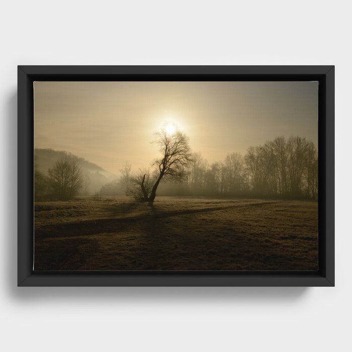 Morning sun Framed Canvas