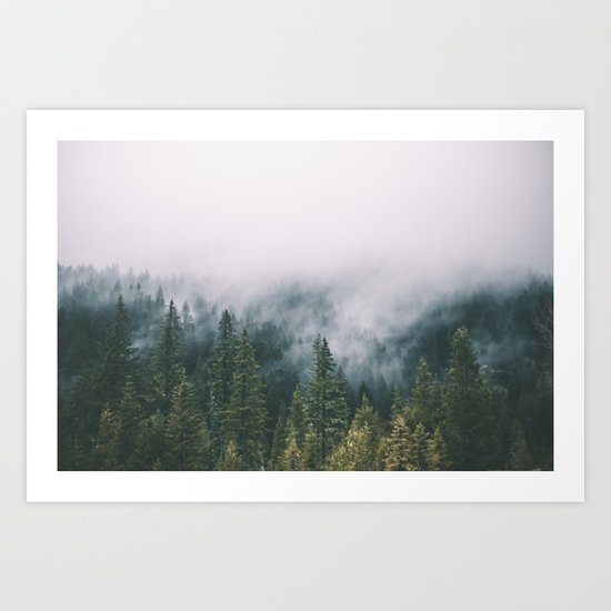 Forest Fog XI Art Print