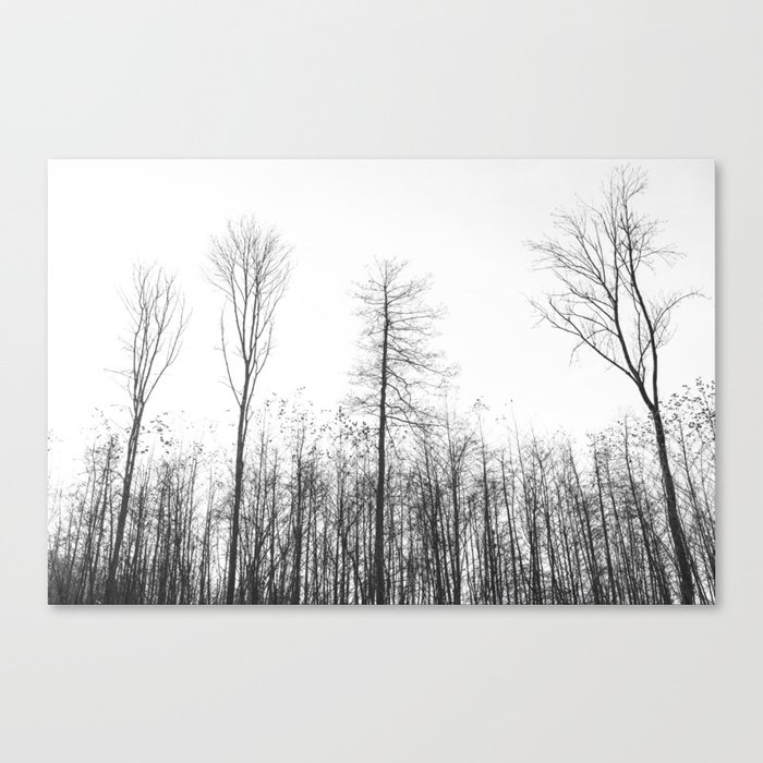 lonely and cold. Canvas Print