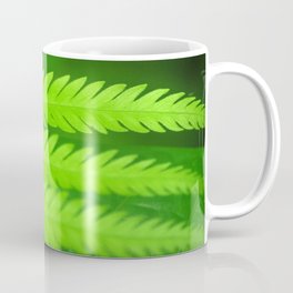 a green Fern Coffee Mug