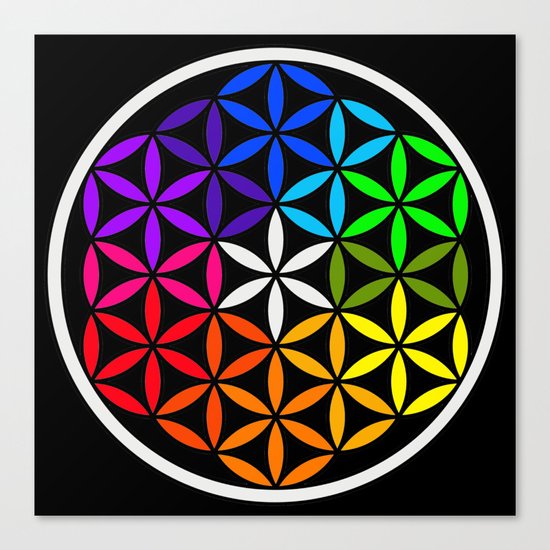 Secret flower of life Canvas Print