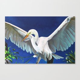 Tropical Florida Art - Egret Majesty Canvas Print