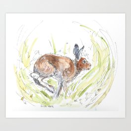 Irish hare. Art Print | Painting, Bunny, Irishhare, Running, Watercolour, Rabbit, Wildlife, Pendrawing, Loosestyle, Illustration 