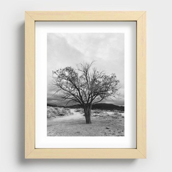 Santa Fe Tree Recessed Framed Print