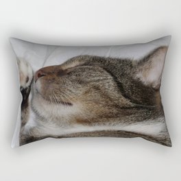 The cat is sleeping in bed Rectangular Pillow