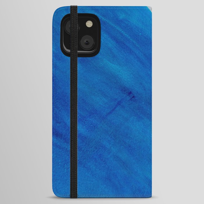 Pitted 12 iPhone Wallet Case