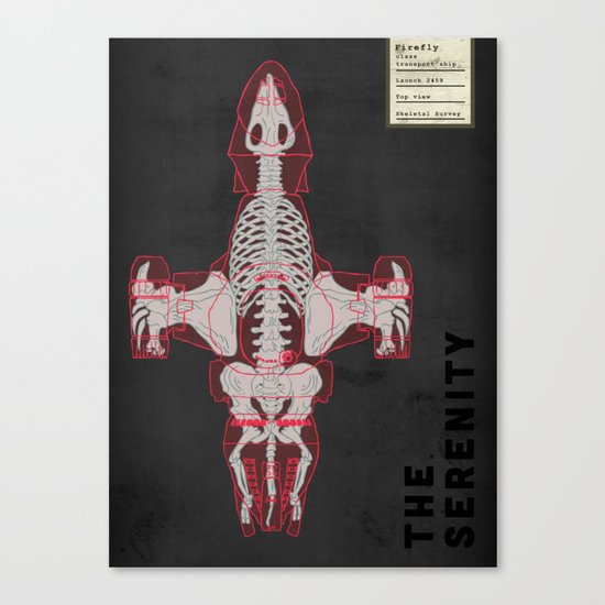 Spaceship Skeletal Survey: The Serenity Canvas Print
