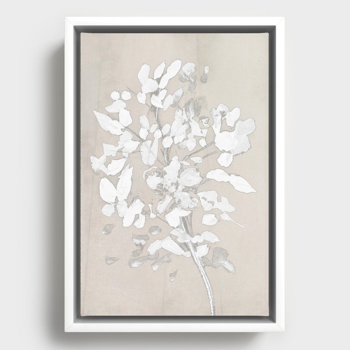 Framed Canvas