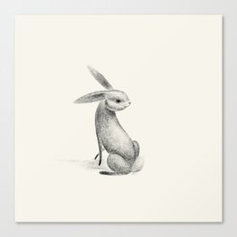Rabbit rabbit Canvas Print