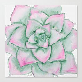 Succulent I Canvas Print