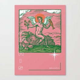 Potentia Amoris - Pink Canvas Print