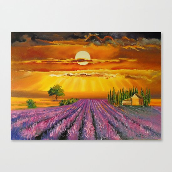 Lavender field Canvas Print