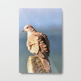 Artistic Ring Necked Dove Metal Print | Eurasianbirds, Mourningdoves, Painting, Birdlovers, Colllareddove, Halfcollareddove, Dove, Eurasiandove, Digital, Birders 