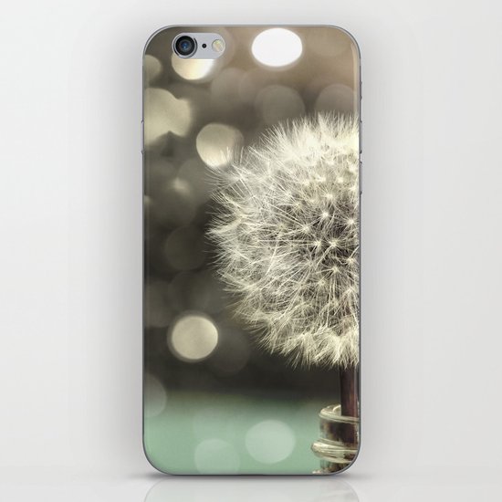 Dandelion in a Jar iPhone & iPod Skin