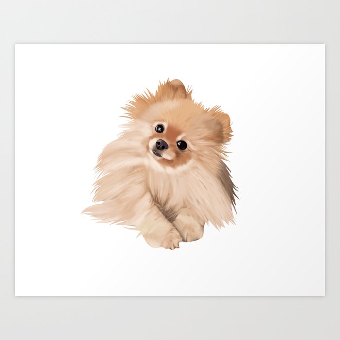 Pomeranian art hot sale