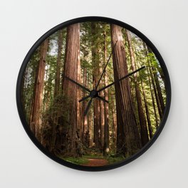 Redwood Forest Photography, Northern California Humboldt County Art, Magical Enchanted Woodland, Landscape Home Decor, Coastal Redwoods Wall Clock