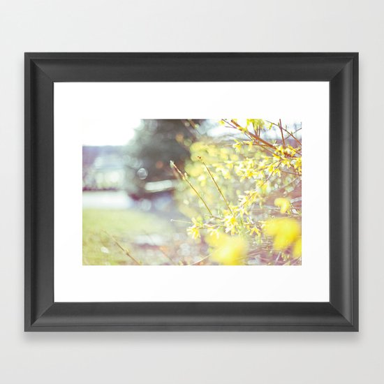 Yellow Forsythia Framed Art Print