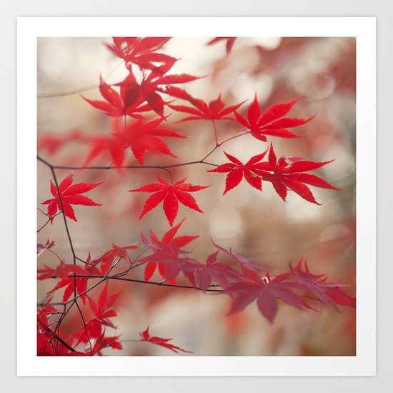 Cream and Red Art Print