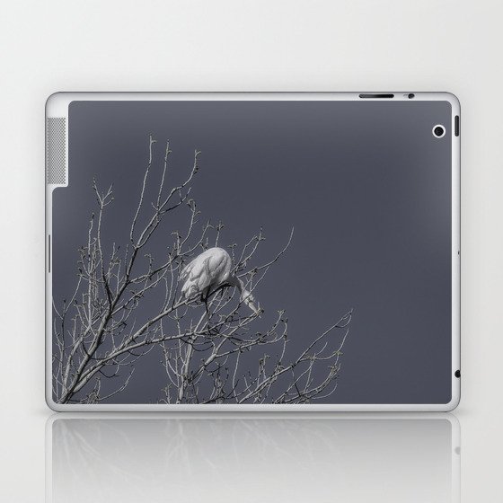 Great Egret Four B & W - Utah Laptop & iPad Skin