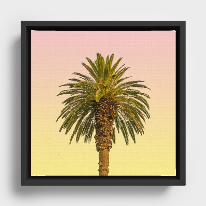 Sunny Palm Framed Canvas