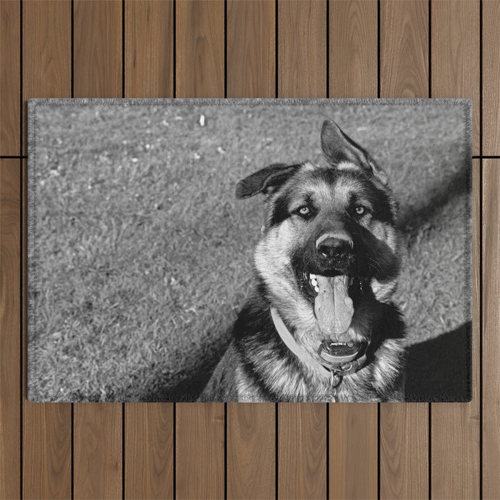 A Dog's Stunning Stare Outdoor Rug