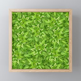 Texture with green leaves Framed Mini Art Print
