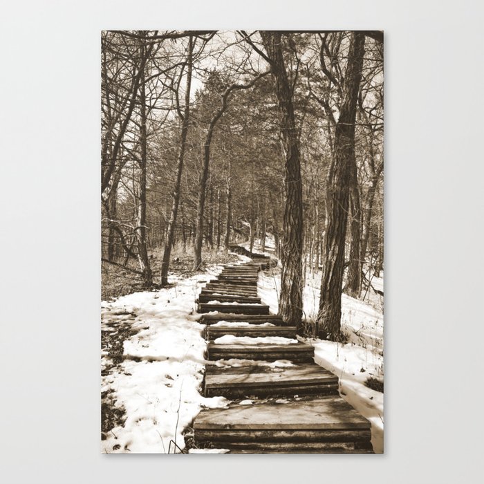 Forest Stairs | Sepia Photography Canvas Print