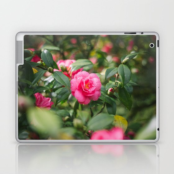 Spring Blossom Laptop & iPad Skin