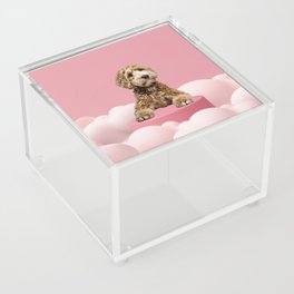 Goldendoodle Laying on Pastel Pink Podium with Cloud Acrylic Box