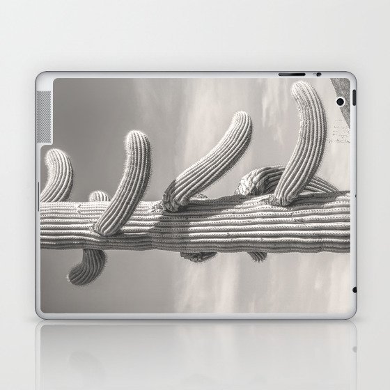 Desert Sentinel Black And White Cactus Decor By Murray Bolesta
