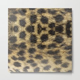 Faux Fur Cheetah Metal Print