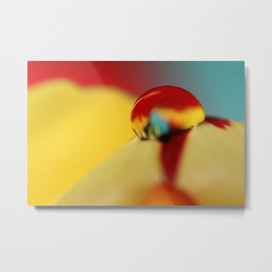 Tulip Drop Against Blue Metal Print