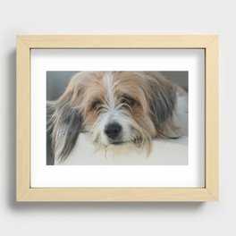 Soulful Dog Recessed Framed Print