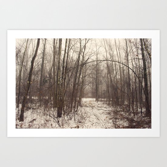 Bare Woods Art Print