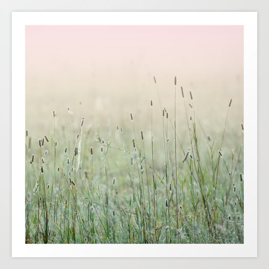 Idyllic Grass Field in the Morning Sun Art Print