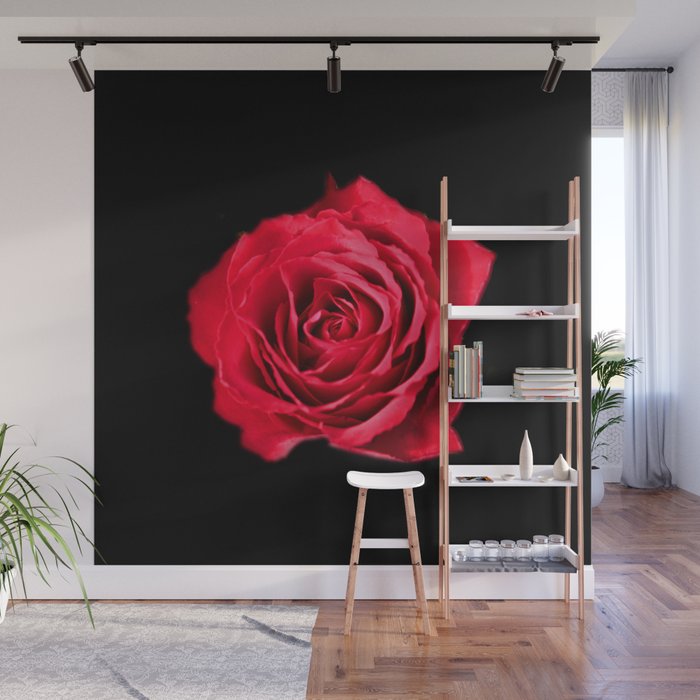 Flowers Some Red Roses Wall Mural Photo Wallpaper GIANT WALL DECOR