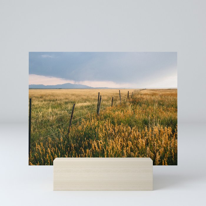 Golden Fields of Colorado Mini Art Print